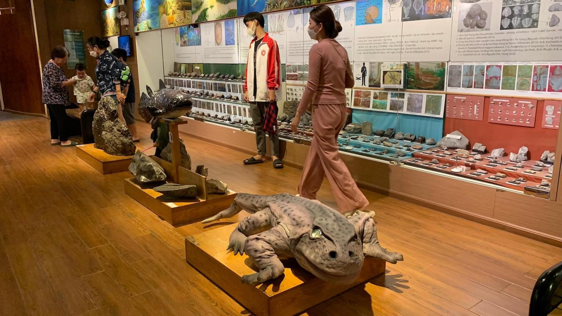 每个展区都有一个投影屏幕,向参观者介绍那个时期动植物的演变和发展。 每个展区都有一个投影屏幕,向参观者介绍那个时期动植物的演变和发展。