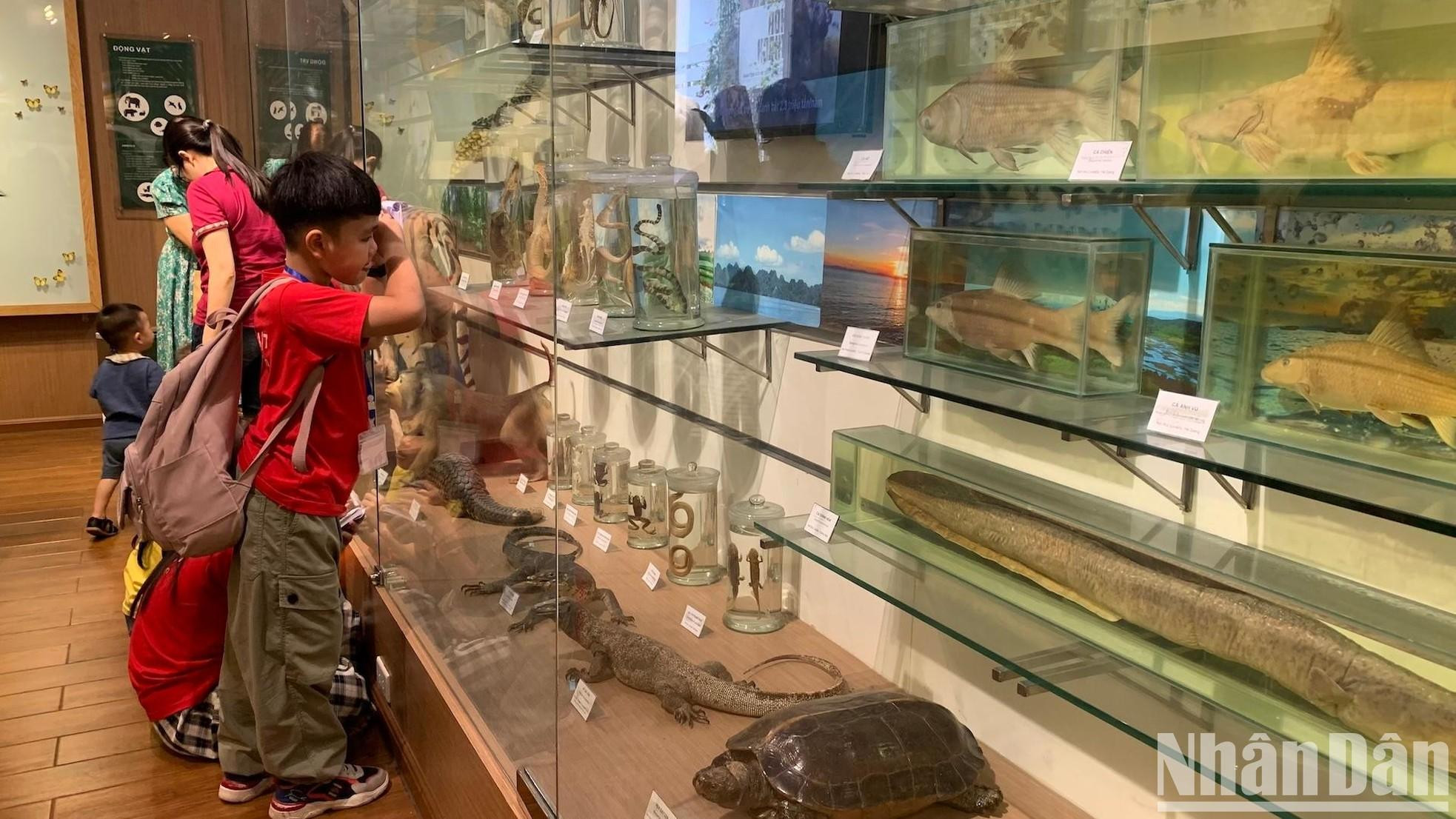 标本是学生学习的生动材料。 标本是学生学习的生动材料。