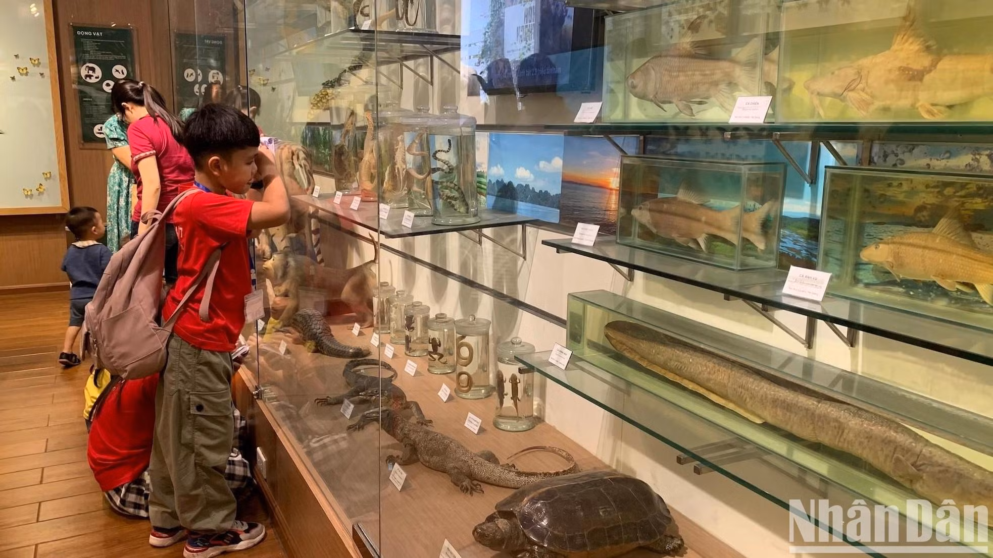 标本是学生学习的生动材料。