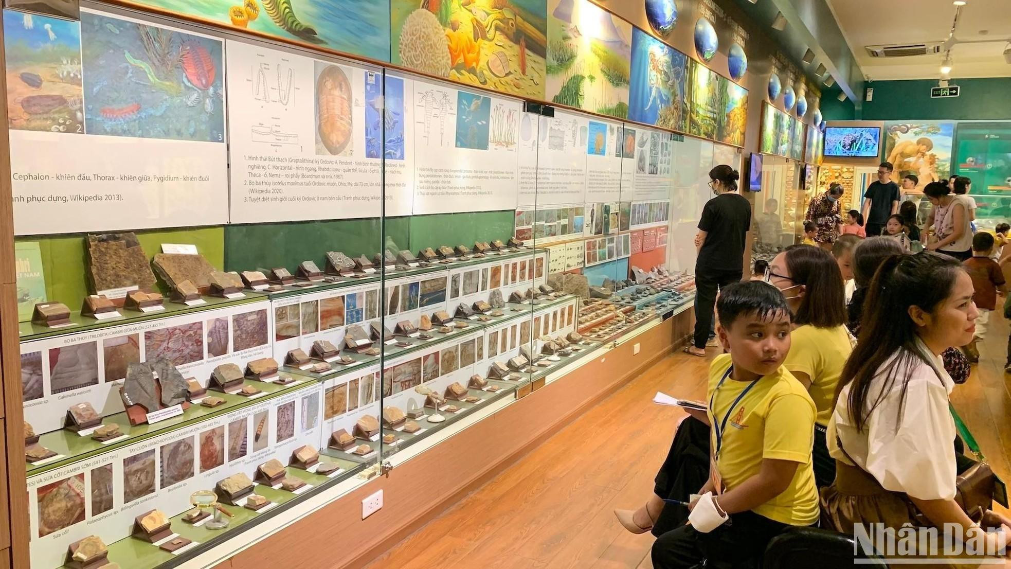 生命史展示区,有4个地质发展时期的典型化石标本。 生命史展示区,有4个地质发展时期的典型化石标本。