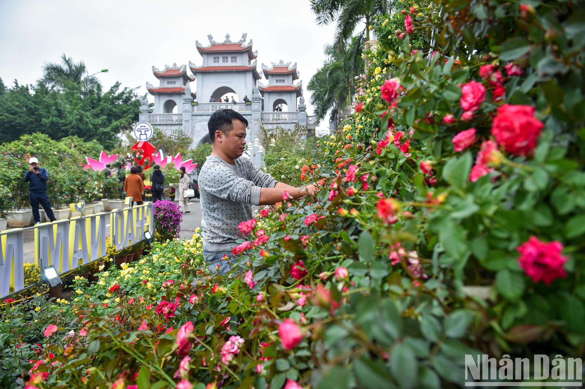 这是迷灵县首次举办的花卉节,旨在向四面八方游客介绍迷灵县花卉艺人的鲜花产品和观赏植物。 这是迷灵县首次举办的花卉节,旨在向四面八方游客介绍迷灵县花卉艺人的鲜花产品和观赏植物。
