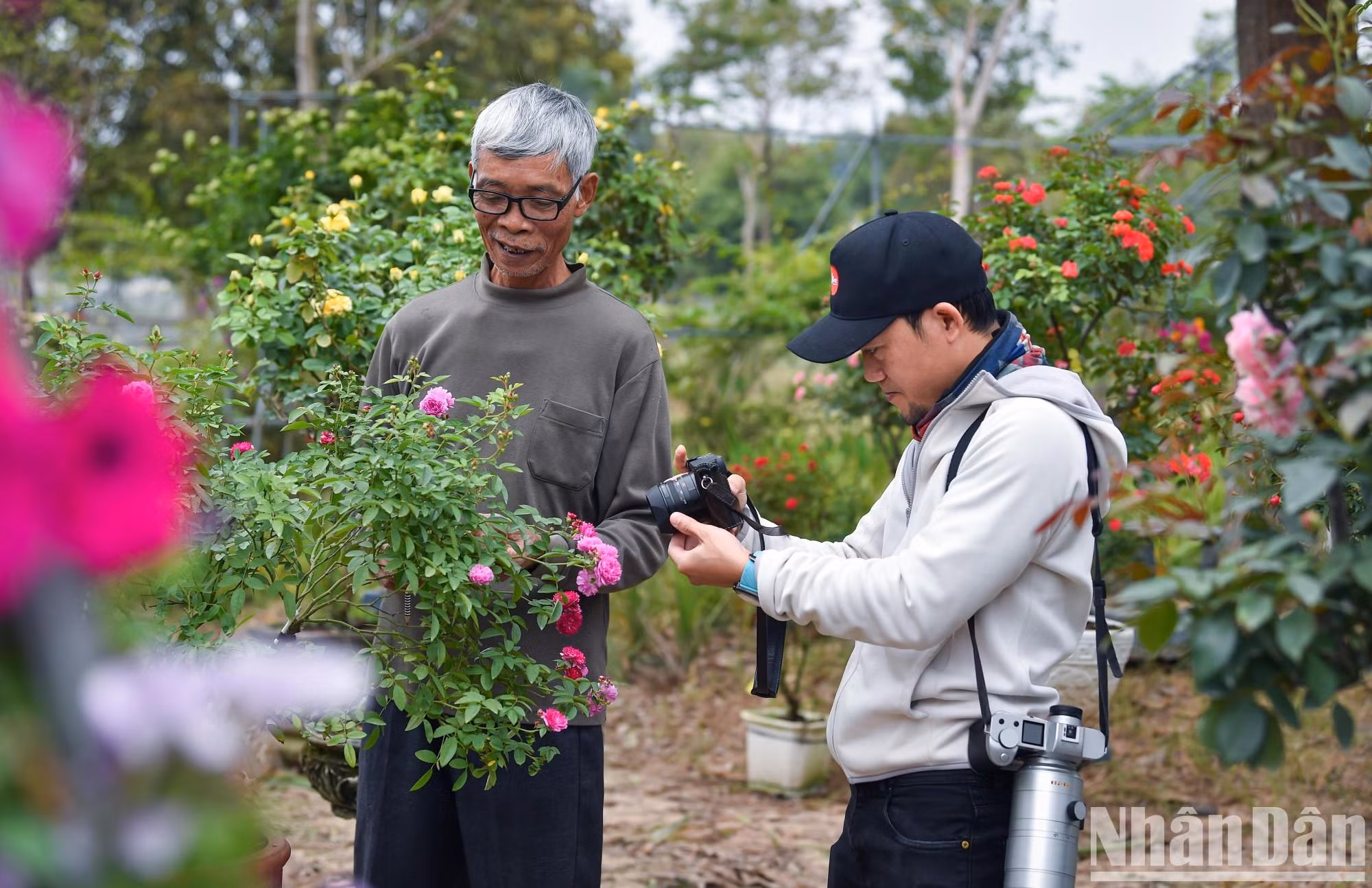 此外还吸引许多摄影师前来拍摄。 此外还吸引许多摄影师前来拍摄。