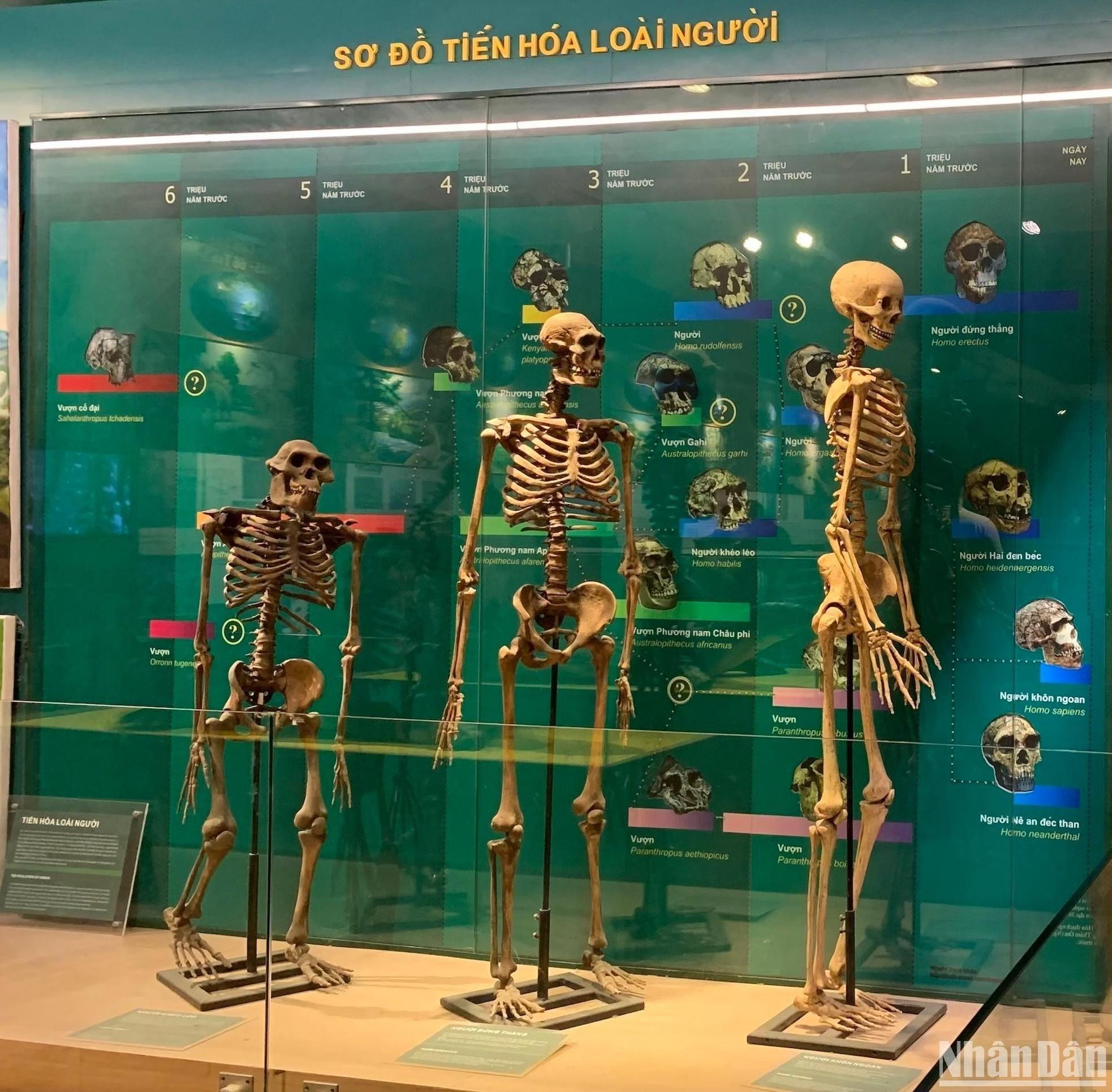 展览了人类的进步。 展览了人类的进步。