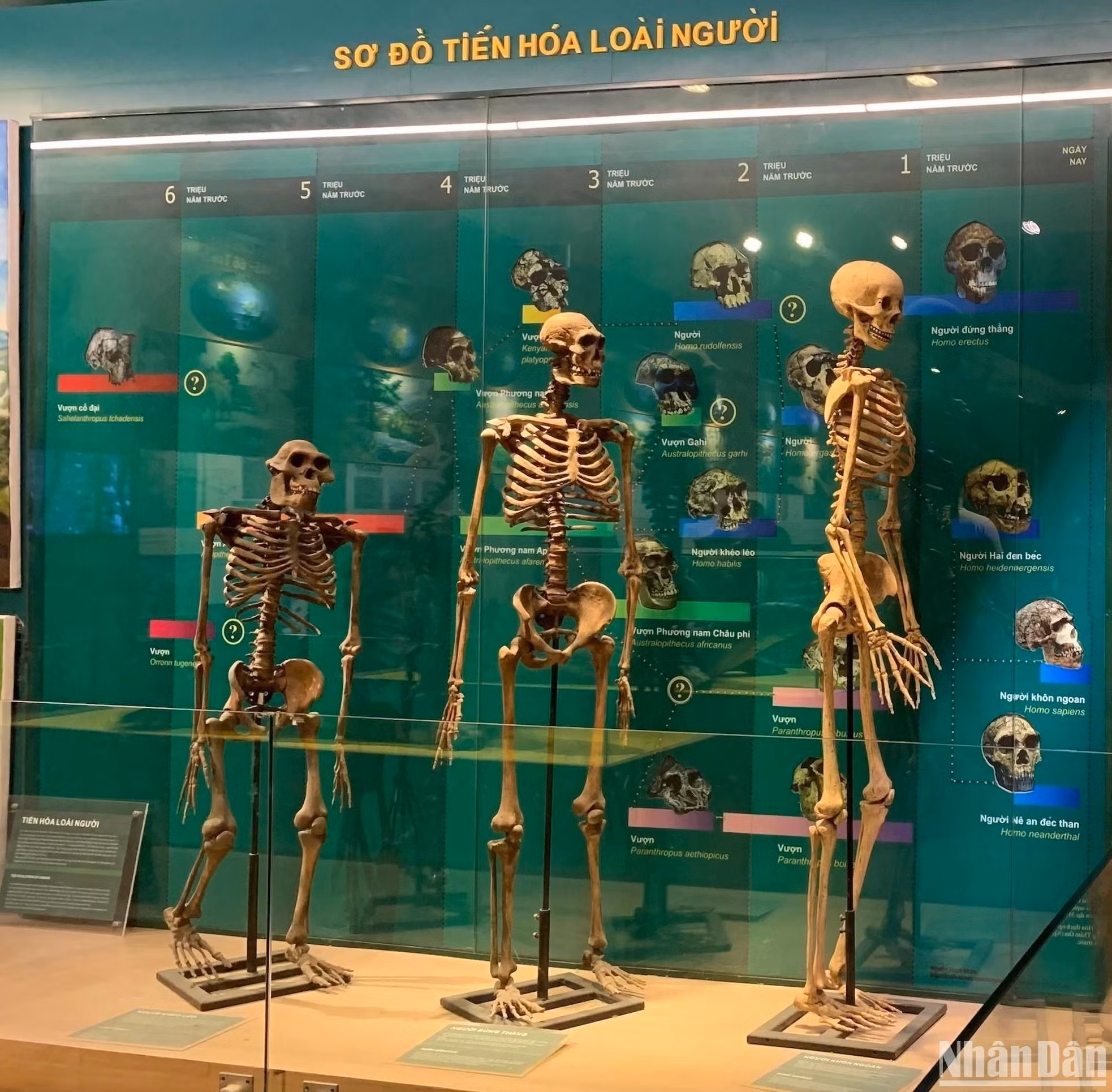 展览了人类的进步。