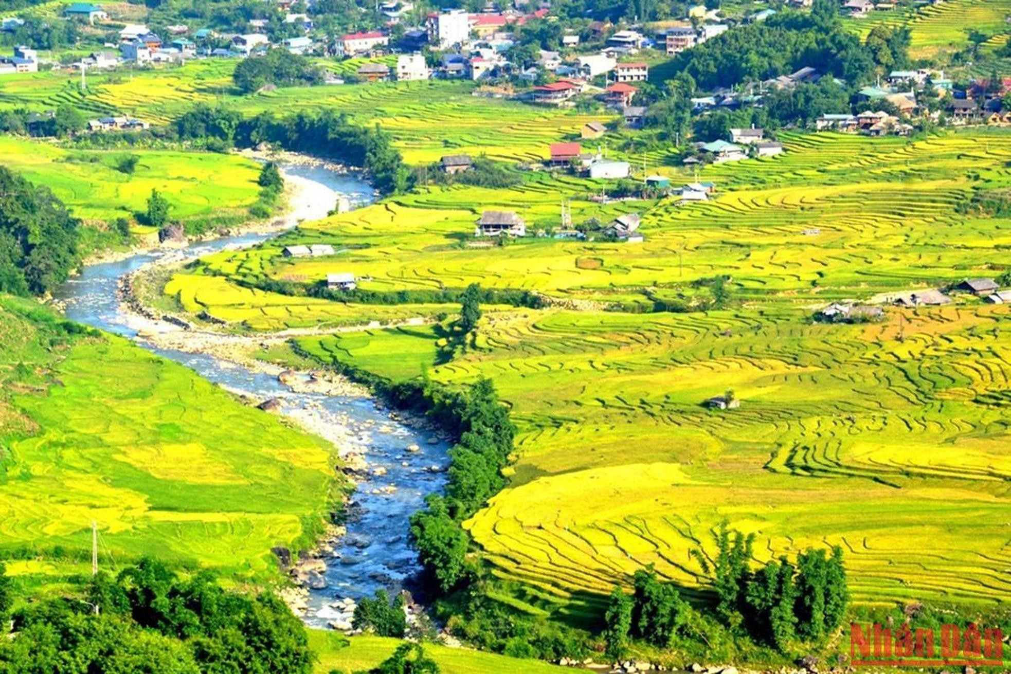 芒花山谷的溪流点缀稻谷成熟季节的美景。 芒花山谷的溪流点缀稻谷成熟季节的美景。