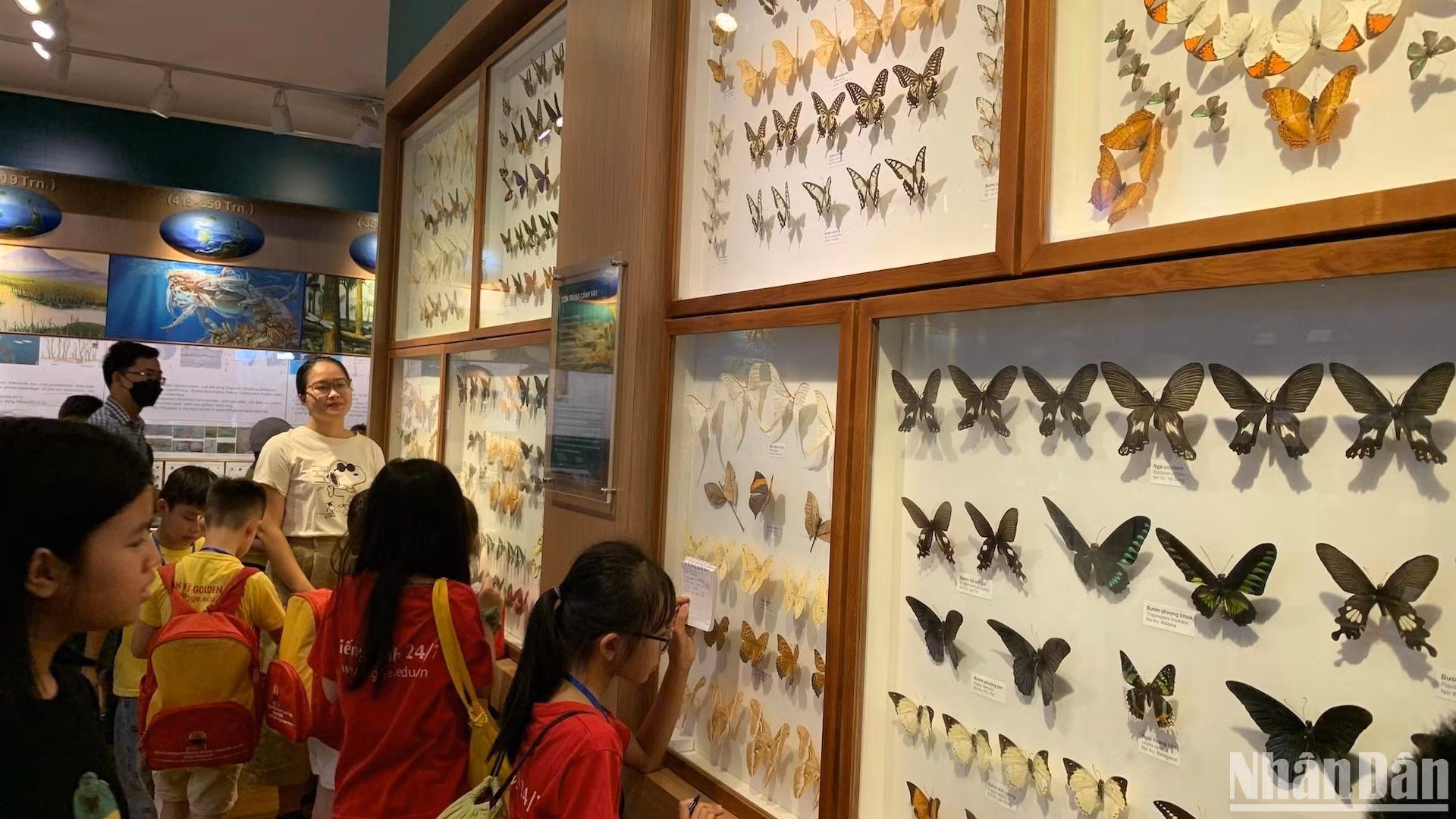 周末走进越南自然博物馆边玩边学【组图】