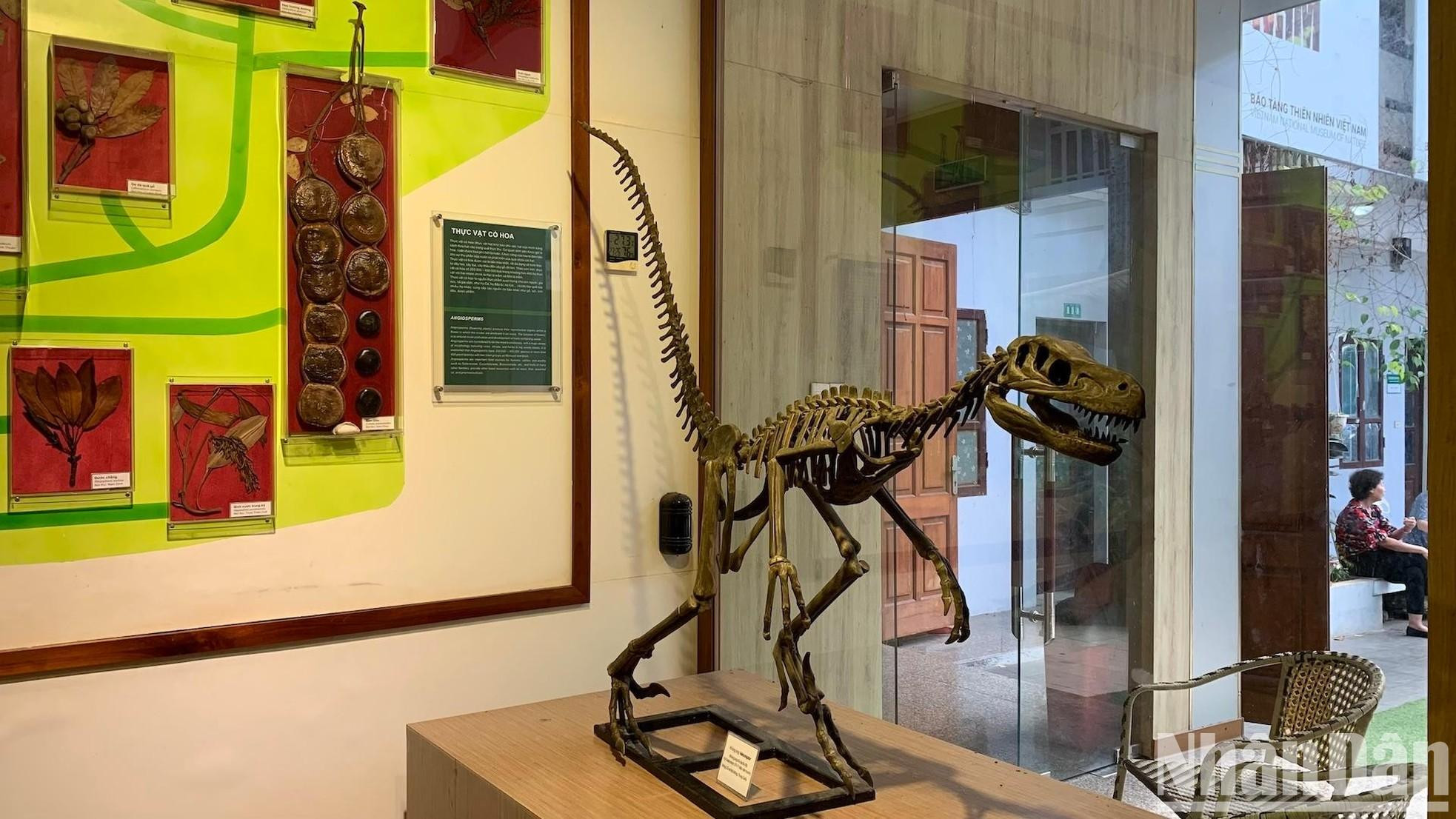 越南自然博物馆除周一和农历新年外,全天免费开放。开放时间:上午8时30分至11时30分,下午1时30分至4时30分,博物馆设有摩托车和汽车的停车位。 越南自然博物馆除周一和农历新年外,全天免费开放。开放时间:上午8时30分至11时30分,下午1时30分至4时30分,博物馆设有摩托车和汽车的停车位。