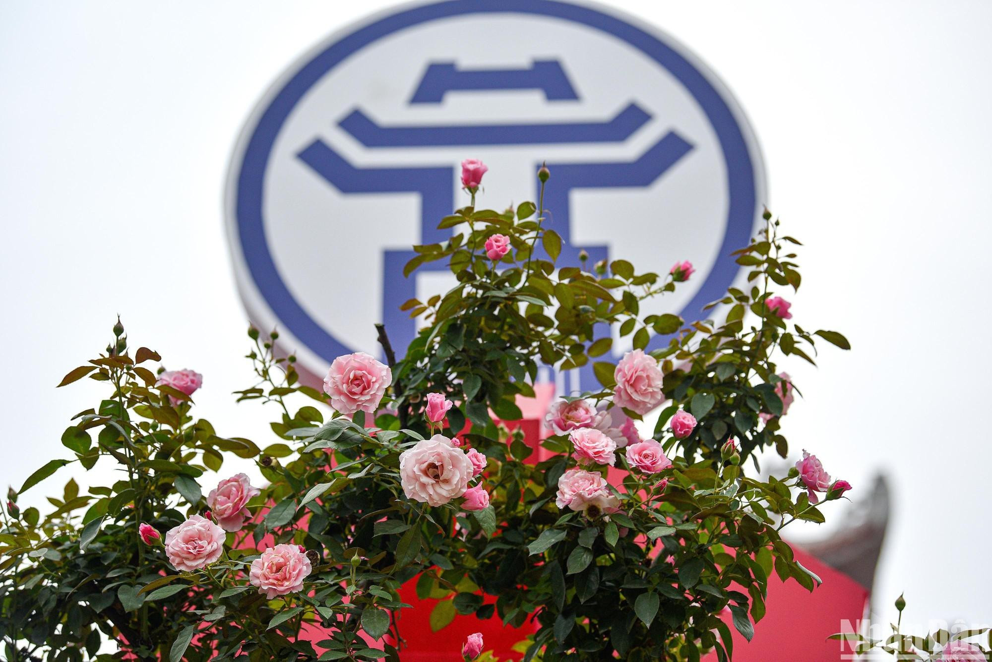 2022年米灵花卉节也是首都河内刺激旅游需求的机会。 2022年米灵花卉节也是首都河内刺激旅游需求的机会。