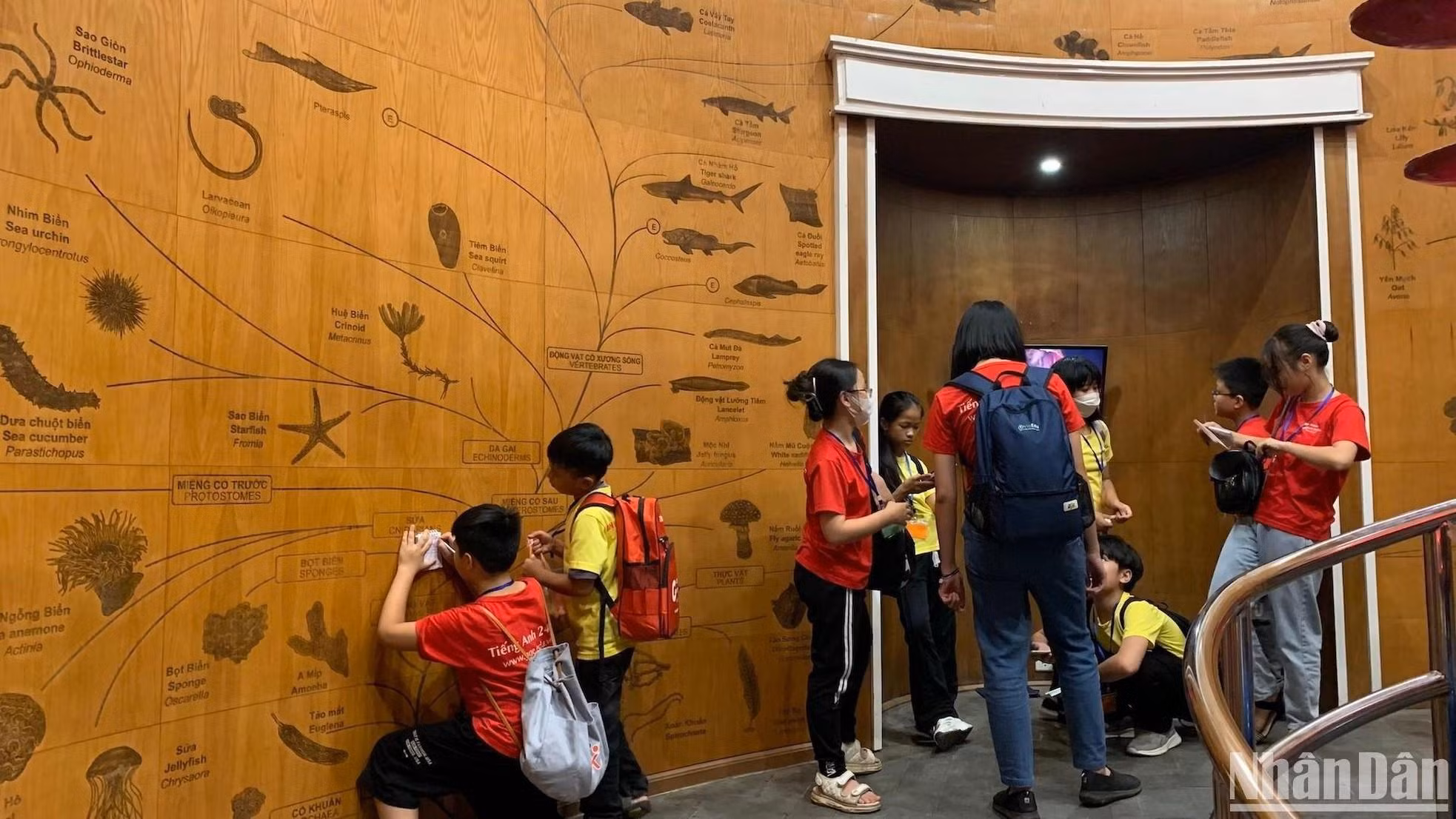 许多学生前来参观和了解展出的动物。