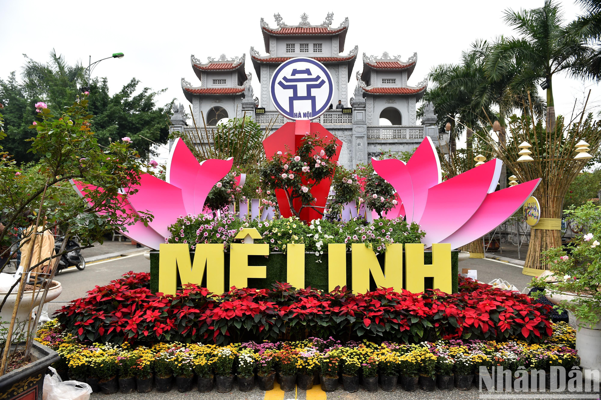 2022年五彩斑斓的迷灵花卉节【组图】