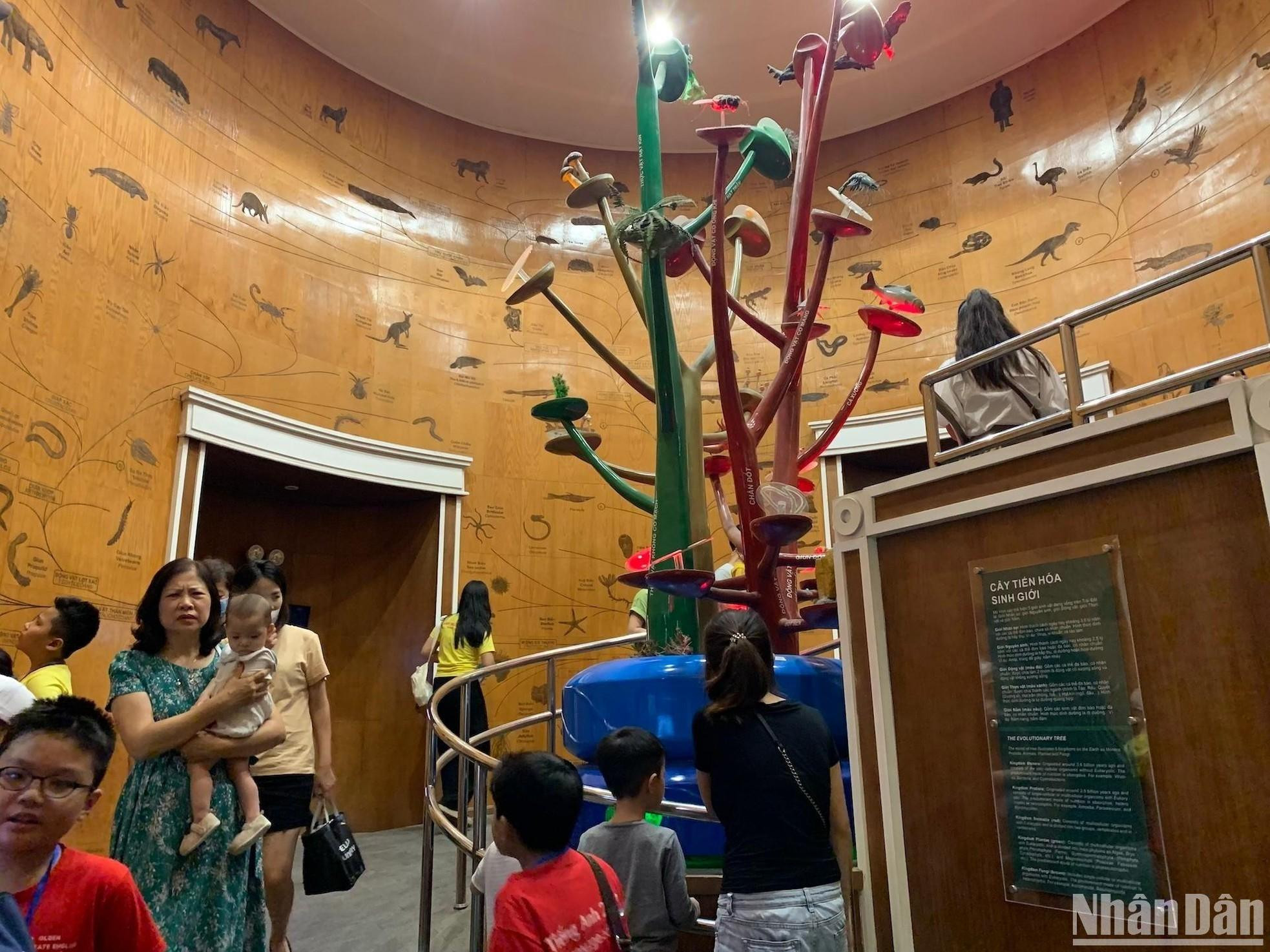 木墙上非常详细地展示了生命进化之树,展示了5个生物界的多样化生命世界:祖细胞、原生动物、真菌、植物和动物。 木墙上非常详细地展示了生命进化之树,展示了5个生物界的多样化生命世界:祖细胞、原生动物、真菌、植物和动物。