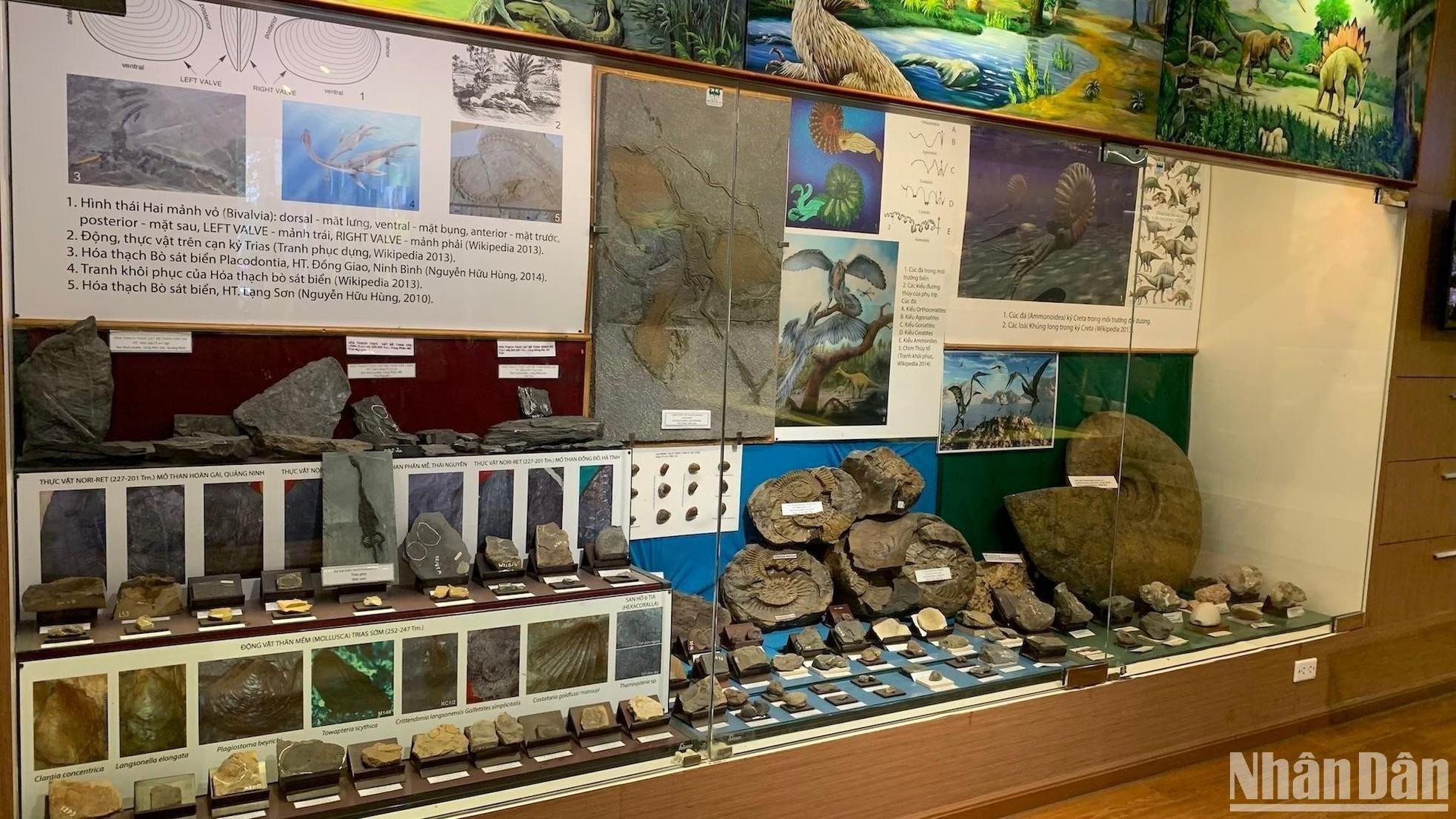 4个地质发展时期包括:前寒武纪时期、古生代、中生代、新生代。 4个地质发展时期包括:前寒武纪时期、古生代、中生代、新生代。