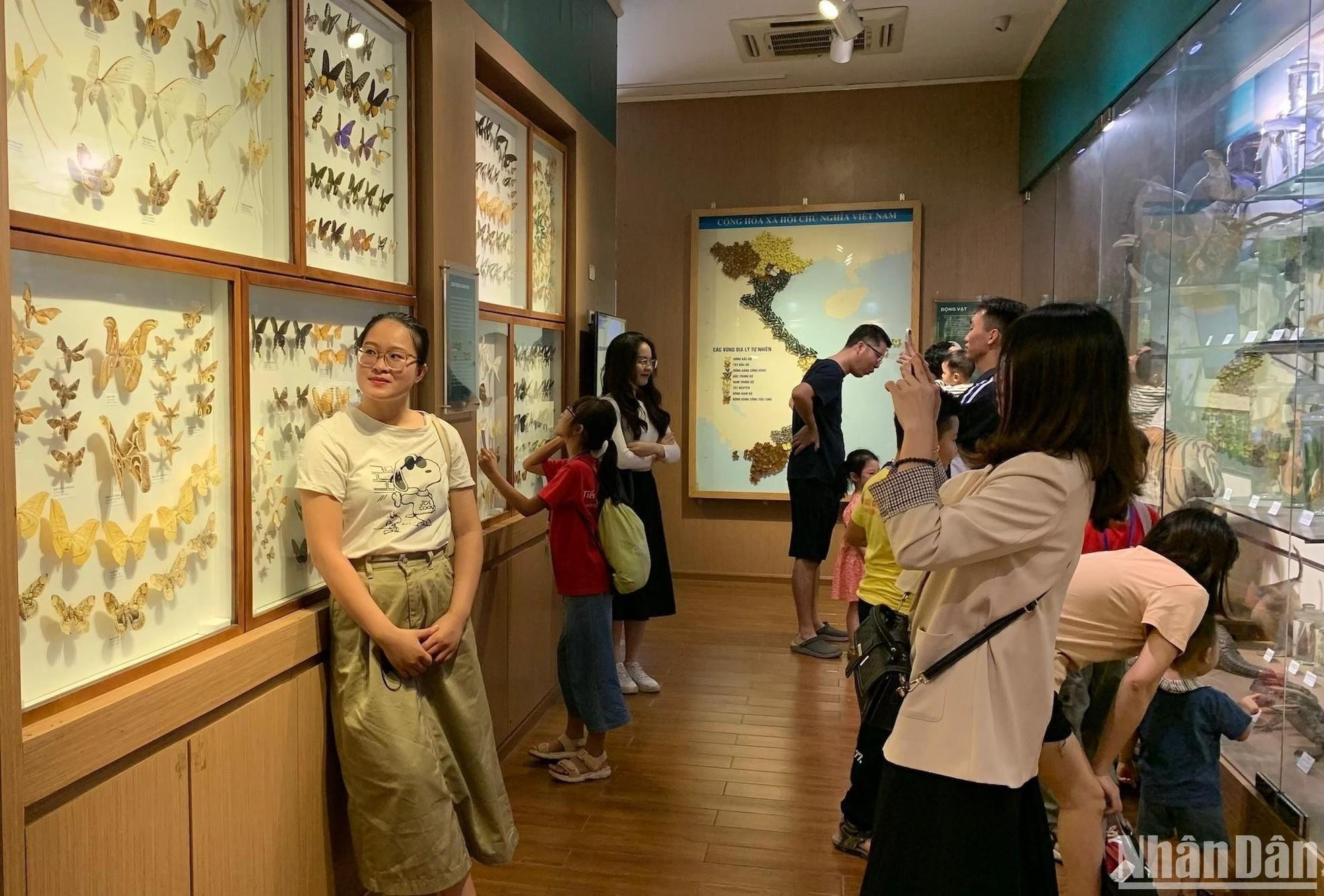 参观者对包括蝴蝶和飞蛾在内的鳞翅类的展示区印象深刻。 参观者对包括蝴蝶和飞蛾在内的鳞翅类的展示区印象深刻。