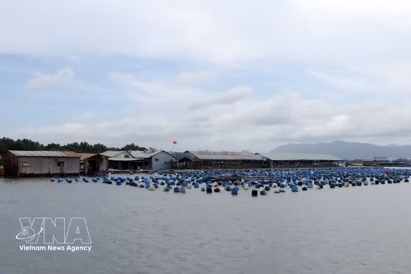 隆山乡朗河上的水产养殖网箱已实现通信信号覆盖，并因数字化转型而受益匪浅——养殖户在生产中应用科学技术，并通过网络平台销售产品。（图片来源：越通社）