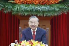 越共中央总书记苏林同中共中央总书记、中国国家主席习近平通电话。（图片来源：越通社）