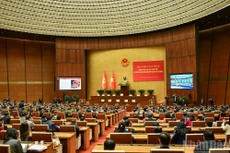 研究、学习和贯彻落实越南共产党第十四次全国代表大会决议的全国会议在国会大厦延鸿会议厅举行。（维灵 摄）