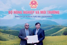 亚行宣布向越南中部提供200万美元援助 支持洪灾后恢复。