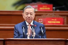 越南共产党第十四届中央政治局委员【图】