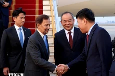 文莱达鲁萨兰国苏丹哈吉·哈桑纳尔·博尔基亚抵达河内，开始对越南进行国事访问。（图片来源：越通社）
