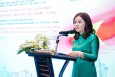 绿色经济研究院院长杨氏碧叶。