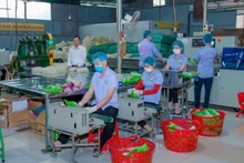 富寿省雄螺米粉合作社的米粉包装厂。