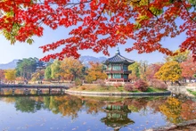 韩国红叶季之美。