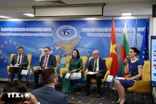 “近观越南：遗产、传承与未来”国际研讨会场景。（图片来源：越通社）