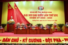 会议场景。（图片来源：vietnamnet.vn）