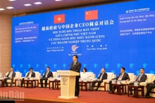 越南政府副总理梅文正发表讲话。