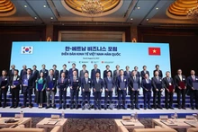 苏林总书记与韩国总理金民锡共同见证越韩双方交换多份双边合作文本。（图片来源：越通社）