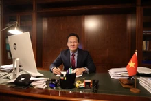 越南常驻日内瓦代表团团长梅潘勇大使。（图片来源：越通社）