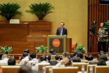 越南外交部代部长黎怀忠发表讲话。
