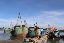 龙海乡的不符合经营要求渔船。（图片来源：baomoi.com）