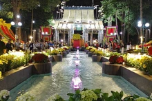 题为“春之汇聚—稳步奋进”的胡志明市第46届迎春花展2月12日晚正式开展。