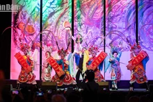 最具越南本色的文艺节目。