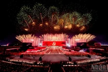 庆祝越共十四大烟花表演点亮河内市天空【组图】