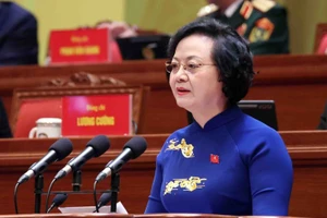 越共中央委员、政府党委常务委员会委员、政府副总理范氏清茶在会上发表讲话。