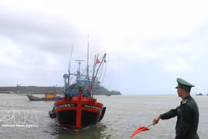 边防部队要求渔船靠岸接受检查。（图片来源：越通社）