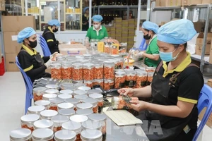 越南力争2026年农林水产品出口额达730亿-740亿美元。（图片来源：越通社）