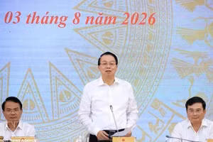越南财政部副部长阮德芝回答记者提问。（图片来源：越通社）