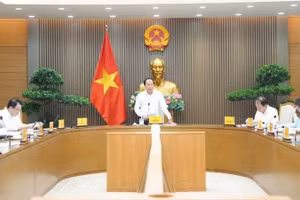 越南政府副总理黎进珠主持召开全面排查工作情况汇报会。（图片来源：越南人民报网）