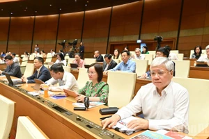 国会表决通过关于2026年经济社会发展计划的决议。（维灵 摄）