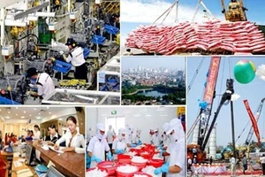 附图。（图片来源：人民军队报网）