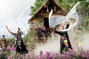 文化遗产潜力是推动林同省文化旅游发展的基础。