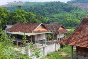 在当今钢筋混凝土建筑日益普及的时代，难能可贵的是，当地泰族群众仍坚持使用木材兴建新的高脚屋，而非改建为现代砖混房屋。（图片来源：越通社）