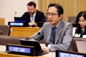 越南常驻联合国代表团团长杜雄越大使出席联合国妇女署执行局年会。（图片来源：越通社）