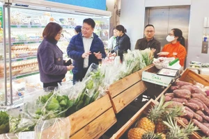 自2026年1月1日起，河内市正式实施多项措施，在集市、便利店、酒店和旅游景区限制使用一次性塑料制品，开启减少塑料垃圾、迈向可持续消费的路线图。