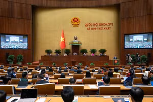 第十六届国会任期：越南政府组织结构【图表新闻】