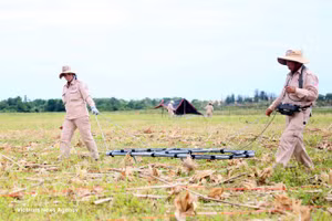 英国地雷咨询组织成员开展排雷活动。（图片来源：越通社）