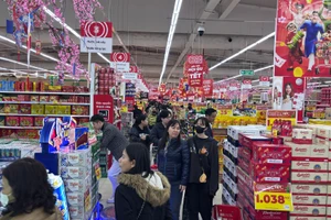 河内超市年货采购气氛热闹非凡【组图】